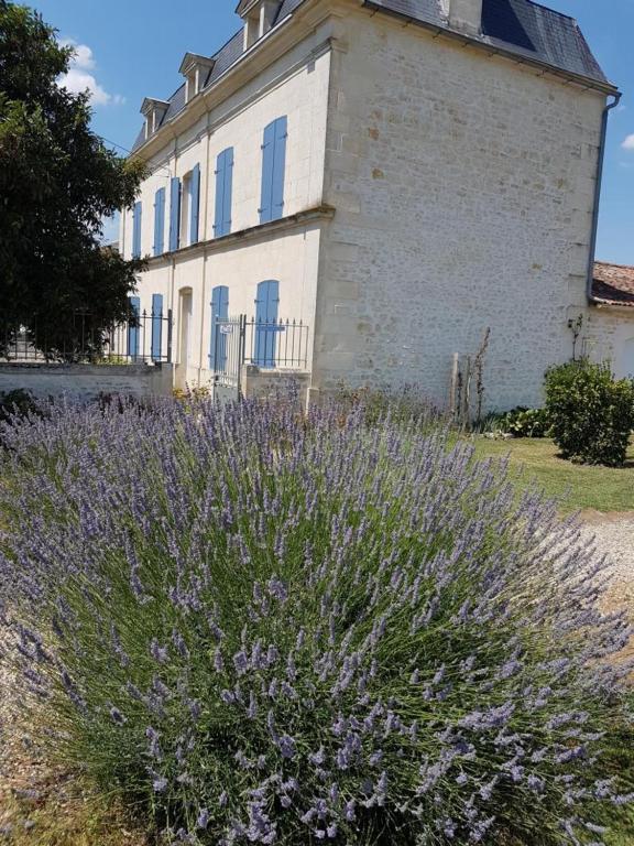 Le Domaine De Bellevue Bed & Breakfast Tanzac Exterior photo